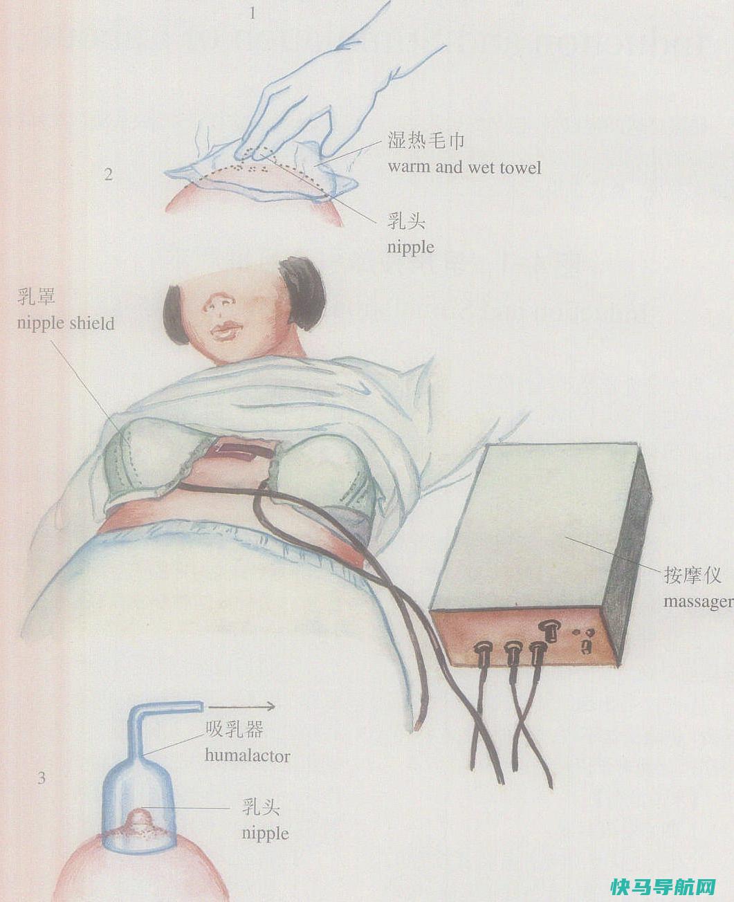乳房按摩方法 胸部保健知识