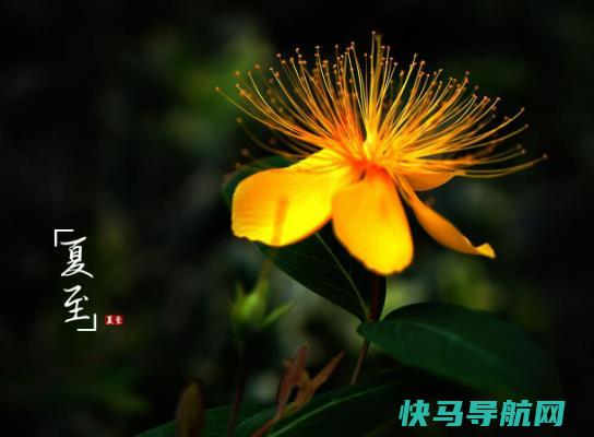 2023年夏至过了是不是开始凉快了？2023年夏至过后几点天亮