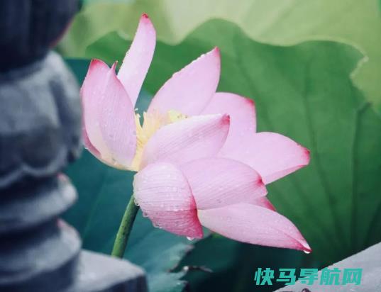 2023年夏至过了是不是开始凉快了？2023年夏至过后几点天亮