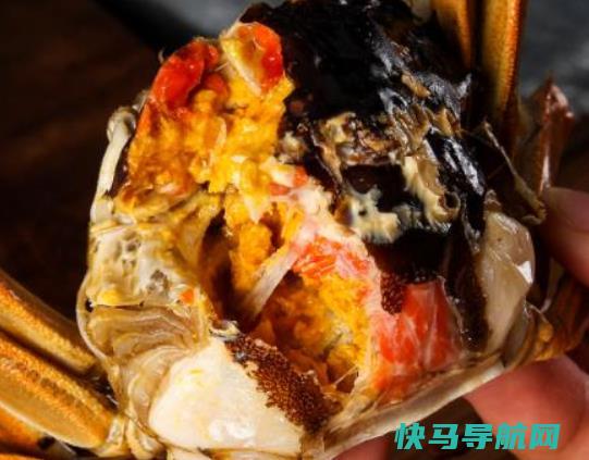 二母蟹什么时候变母蟹？梭子蟹二母蟹与母蟹